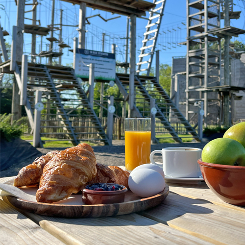 Dauwklimmen