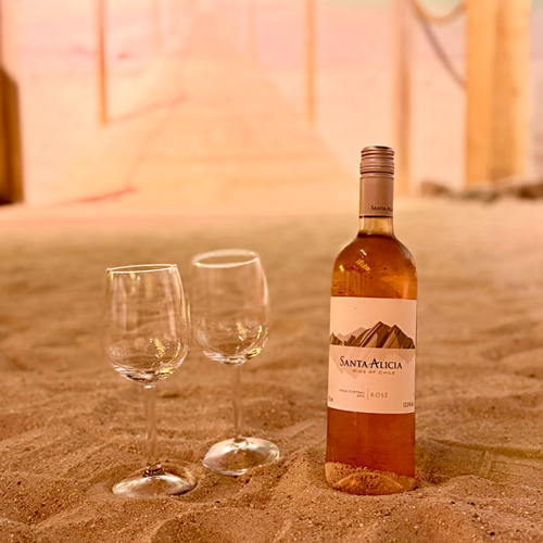 beachborrel2